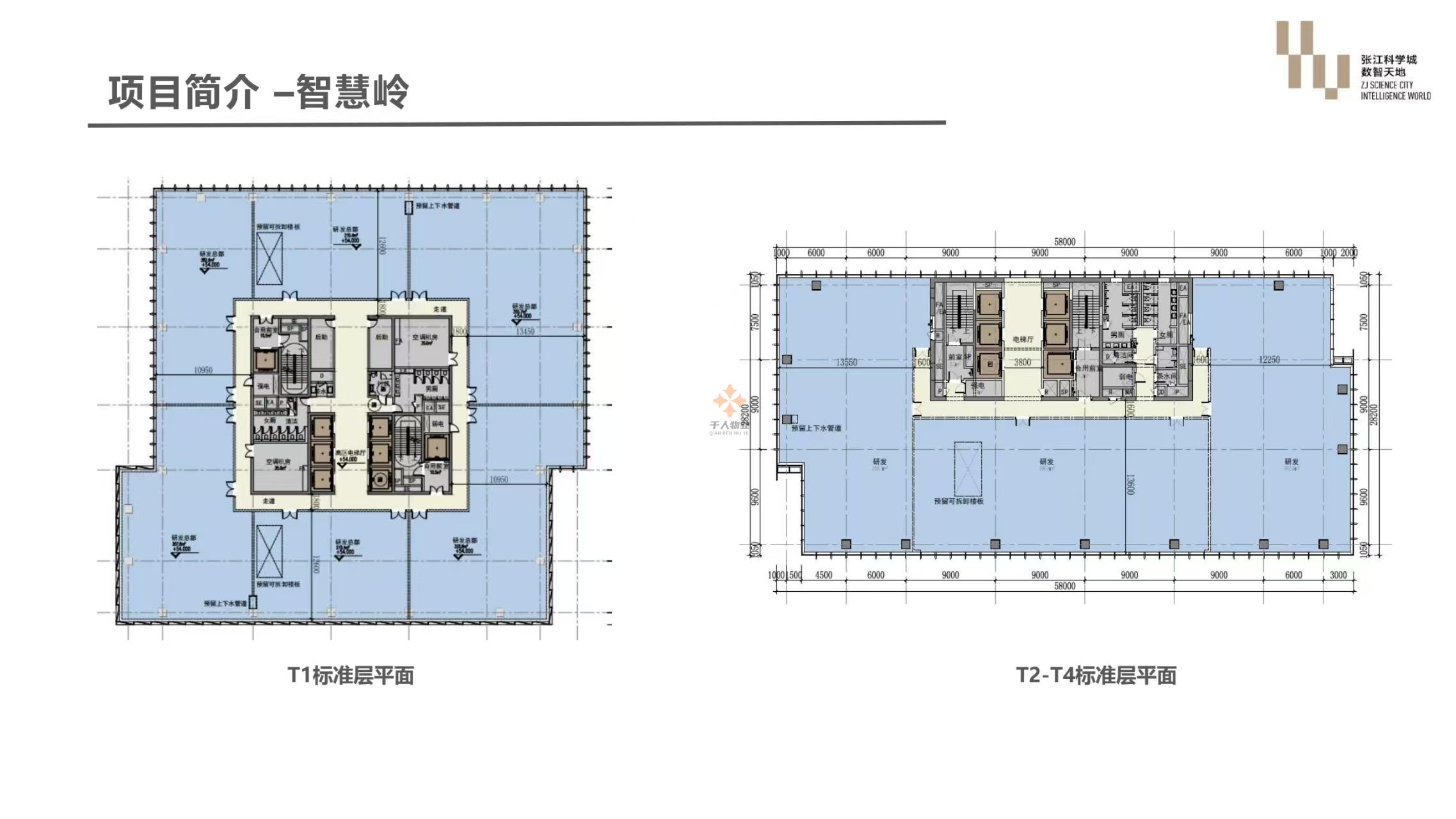 浦東 張江科學(xué)城數(shù)智天地·智慧嶺 200平米 簡裝
