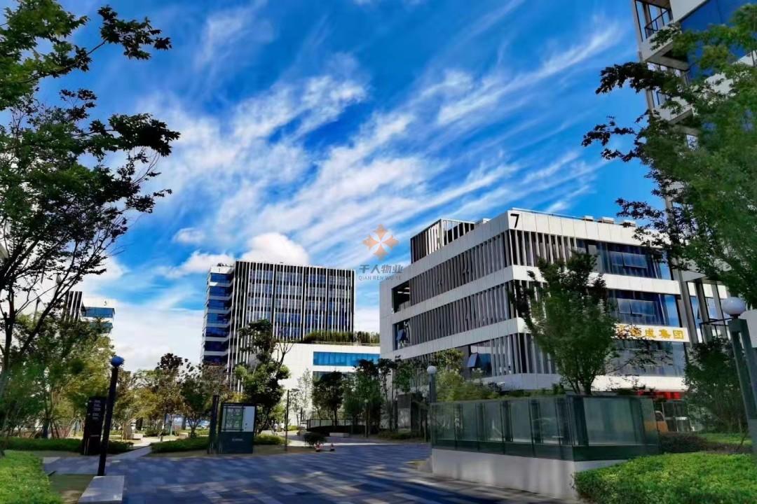 浦東 浦東軟件園三林園 50平米 簡裝
